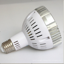 15W Nondimmable Osram PAR30 LED Bulb